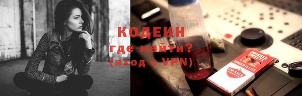 ПСИЛОЦИБИНОВЫЕ ГРИБЫ Осинники